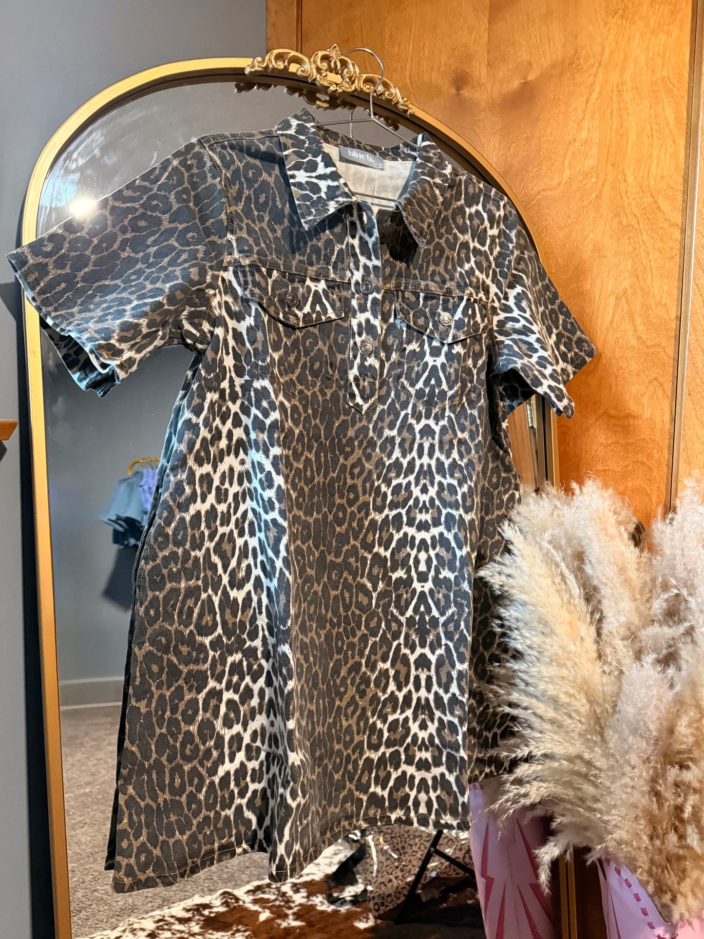 Spotted in Style Denim Dress
